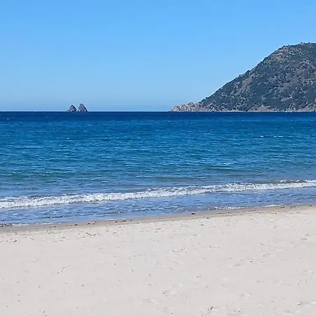 A 10 Minute De La Lejlighed *